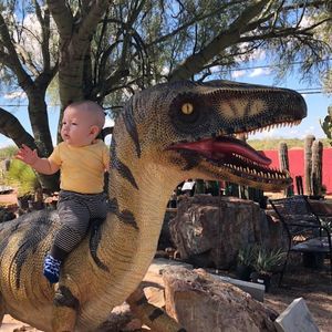 Meet your Posher, Jerry